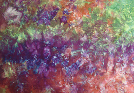image 21479