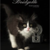 Bridgette