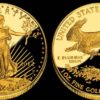 AE Gold Coin