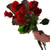 Rib Boquet