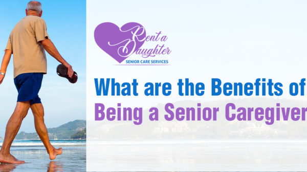 Rent a daughter blog 1b