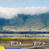 Tanzania Open for Tourism Zara Tours Tanzania Africa