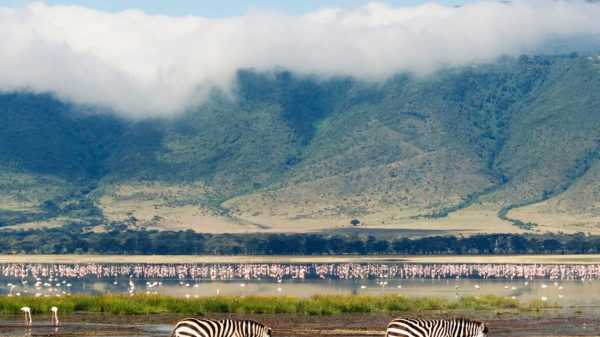 Tanzania Open for Tourism Zara Tours Tanzania Africa