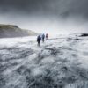 arctic