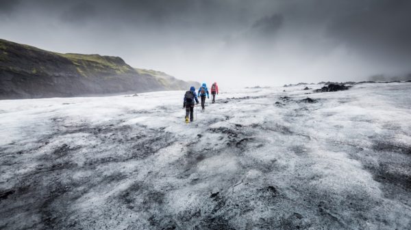 arctic