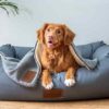 best dog beds 2021