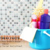 toilet brush