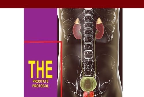 The Prostate Protocol