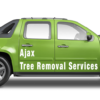 Ajax Tree Removal Service