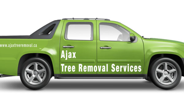 Ajax Tree Removal Service