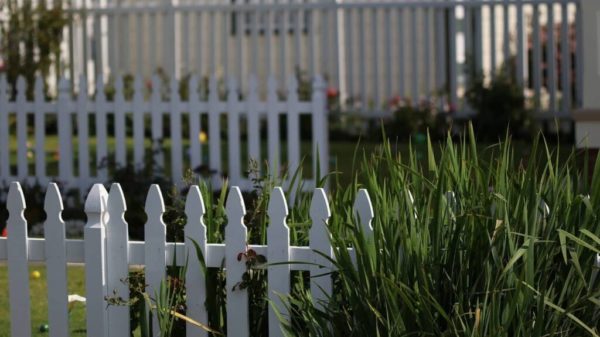 Backyard Fence Southaven Fence Company