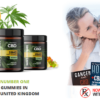 CBD Gummies
