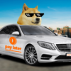 PLT PR image