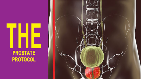 The Prostate Protocol Reviews