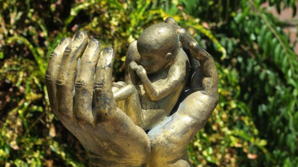 abortion 3533963 1920