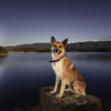 Rowdy Holston Dam GDAG