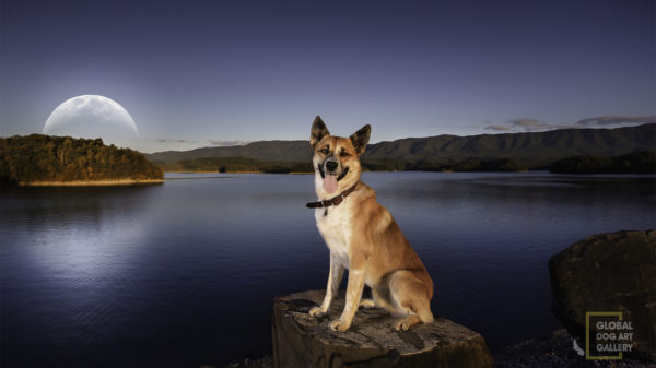 Rowdy Holston Dam GDAG