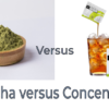 Matcha vs Concentrate