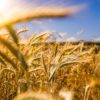raphael rychetsky li9JfUHQfOY unsplash