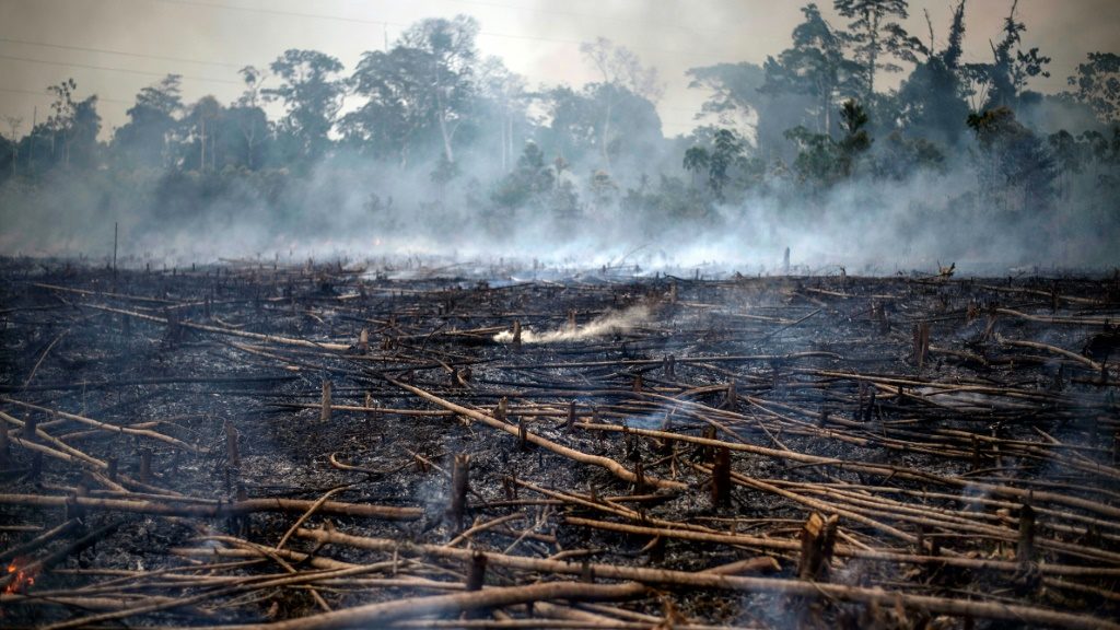 A long way to go before the UN Biodiversity Plan is drawn up - Vimarsana News