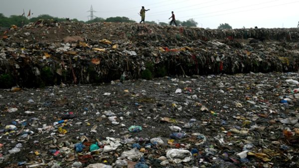 India bans many single use plastics to fight waste Top