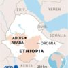 Amnesty urges investigation into horrific ethnic massacre in Ethiopia