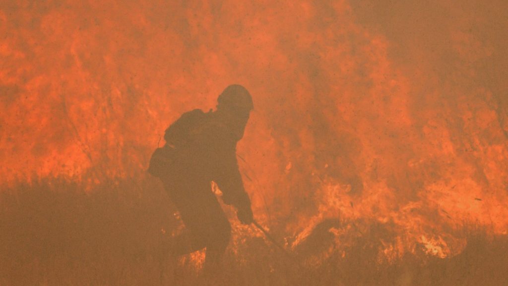 Forest fires ravage the Spanish region twice a month - Science-Environment News - Report by AFR | Online Free Press release news distribution - Vimarsana News