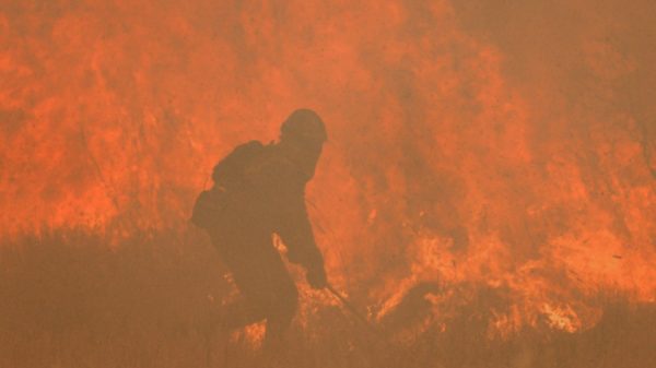 Forest fires ravage the Spanish region twice a month