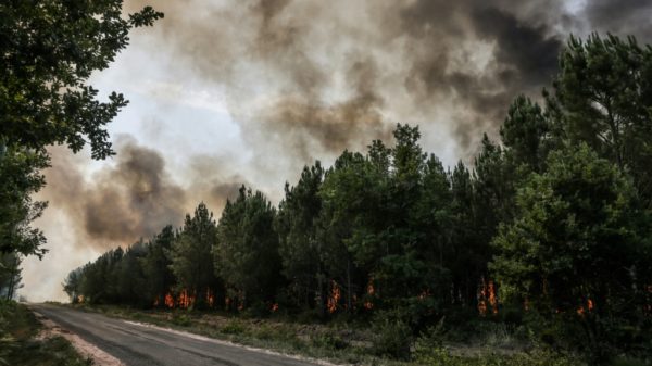 France is on alert as wildfires rage across scorching south west