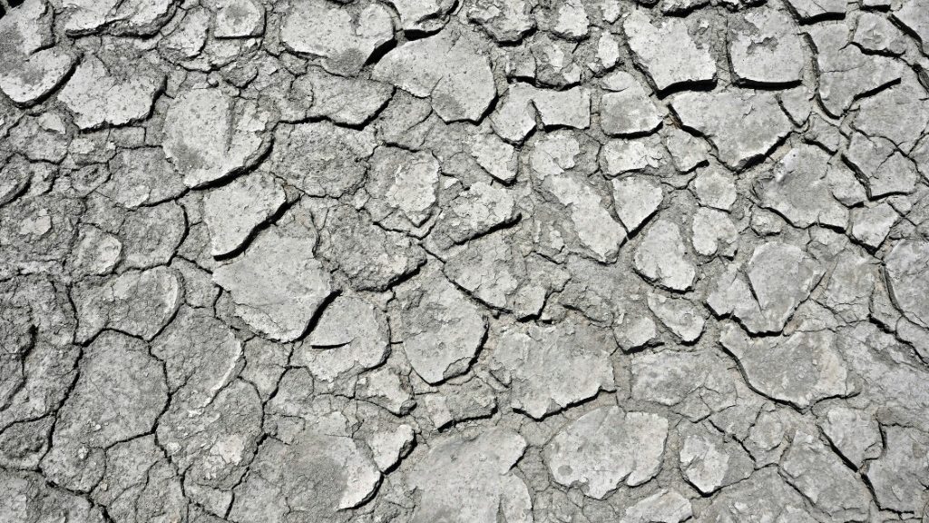 Italy's famous paddy fields in the Po Valley have been decimated by drought - Science-Environment News - Report by AFR | Online Free Press release news distribution - Vimarsana News