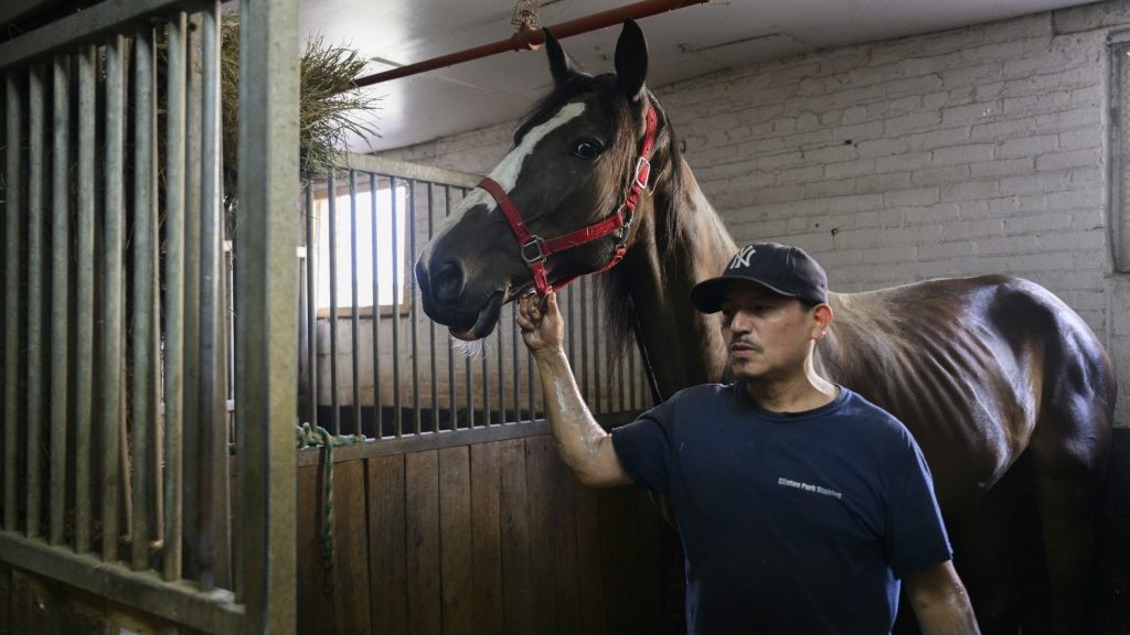 End of the road for New York's horse-drawn carriages? | Online Free Press release news distribution - Vimarsana News