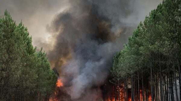 Heat and drought spark huge wildfires in south west France