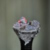 Shisha ban leaves Malians divided Africa News Report