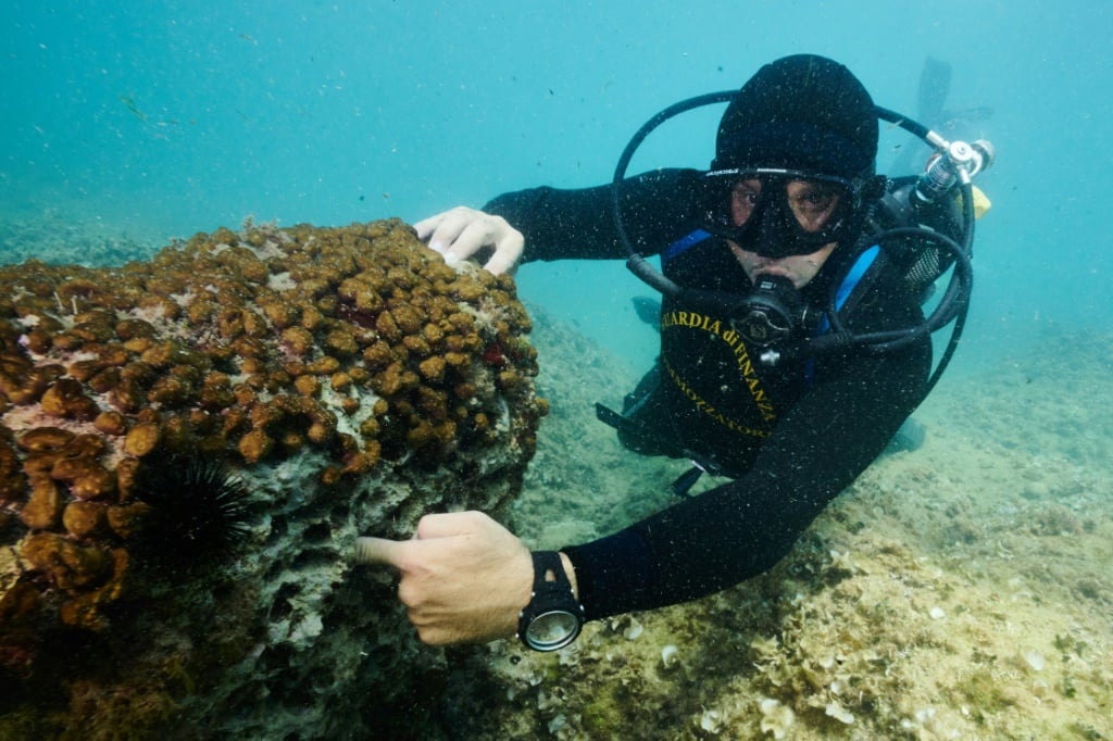The poaching of 'status symbols' date mussels threatens Italy's coasts - Science-Environment News - Report by AFR | Online Free Press release news distribution - TopWireNews.com