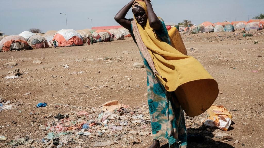 Dying of hunger: What is a famine? - Vimarsana News