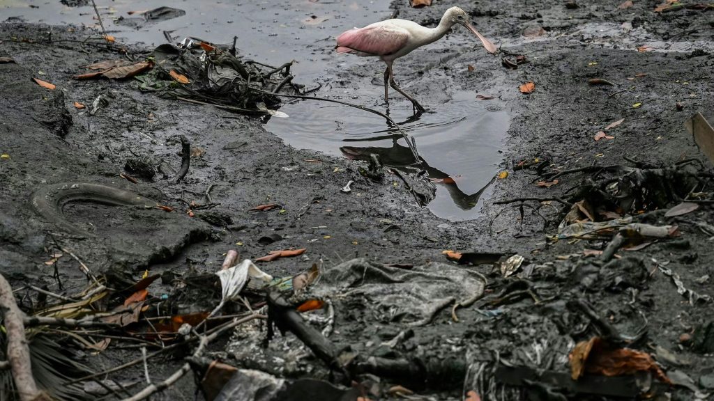 Ecuador launches floating islands to save stinky Guayaquil estuary - Health and Lifestyle News - Report by AFR | Online Free Press release news distribution - Vimarsana News