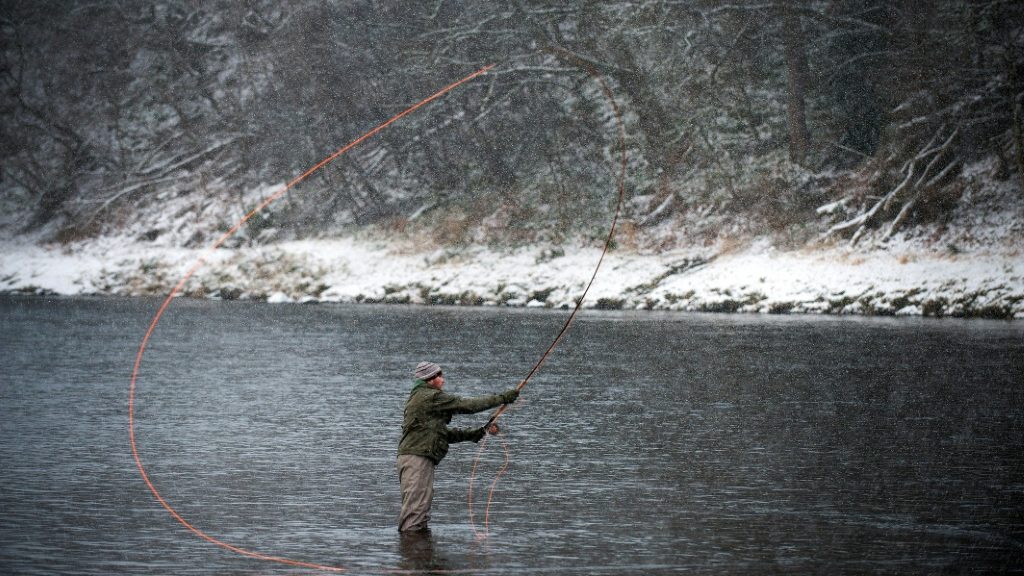 Fishermen lament plunge in Scottish wild salmon catch - UK News News - Report by AFR | Online Free Press release news distribution - Vimarsana News