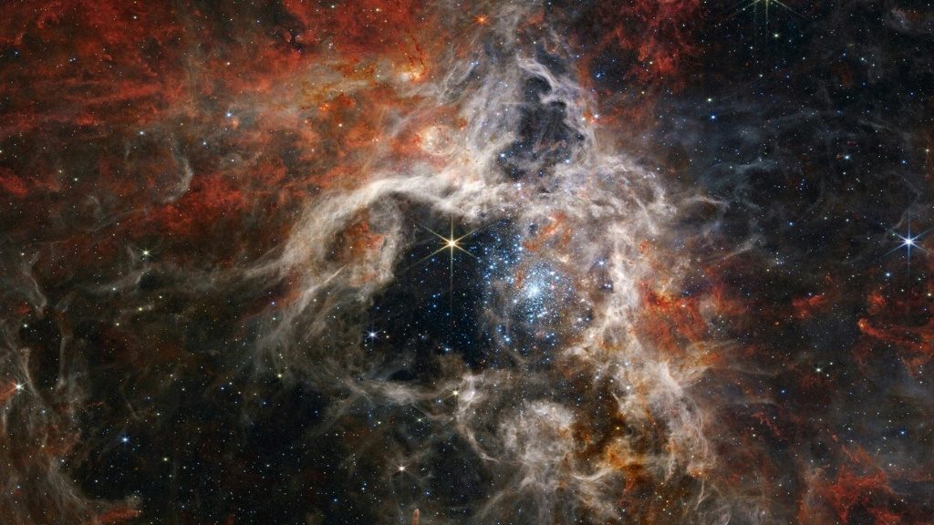 NASA's Webb catches Tarantula Nebula - Science-Environment News - Report by AFR | Online Free Press release news distribution - Vimarsana News