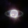 Neptunes delicate rings captured in new Webb image Science Environment