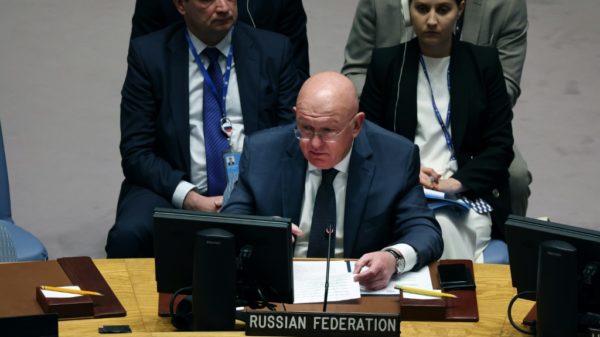 Russia regrets IAEA report did not blame Ukraine UN envoy