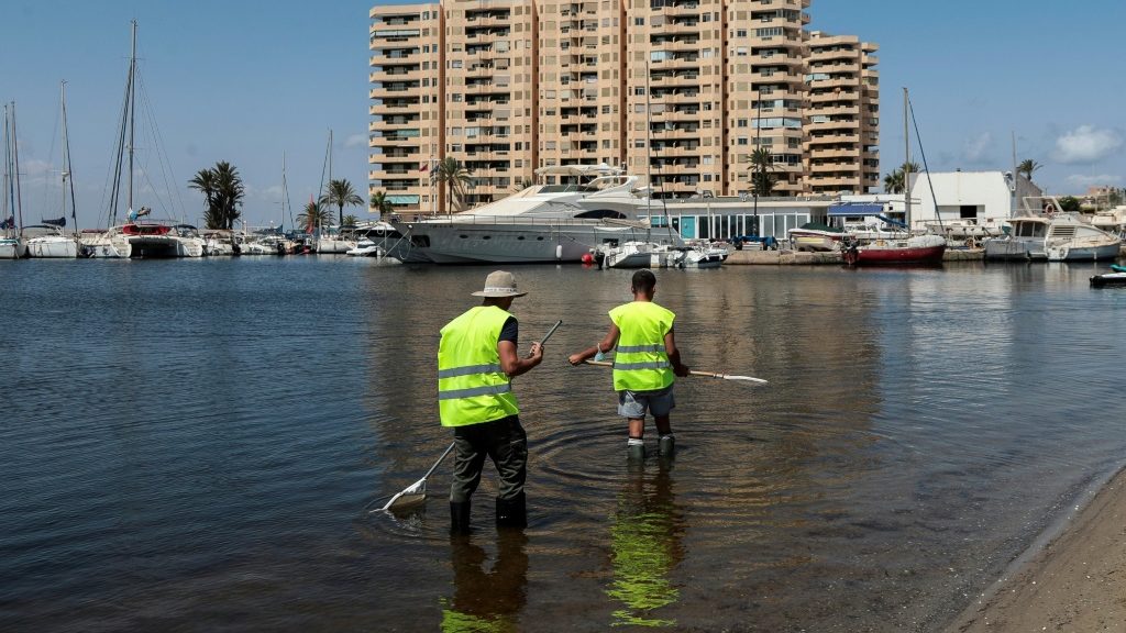 Spain grants personhood status to threatened lagoon - Science-Environment News - Report by AFR | Online Free Press release news distribution - Vimarsana News