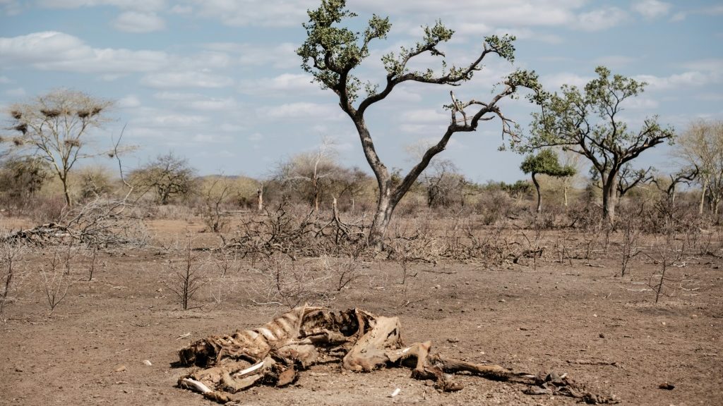 World in 'wrong direction' as climate impacts worsen: UN - Science-Environment News - Report by AFR | Online Free Press release news distribution - Vimarsana News