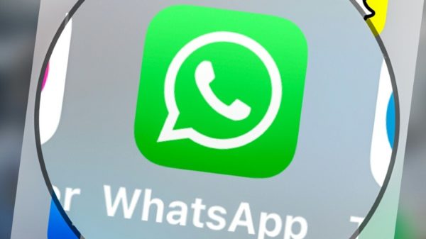 1666691635 medias