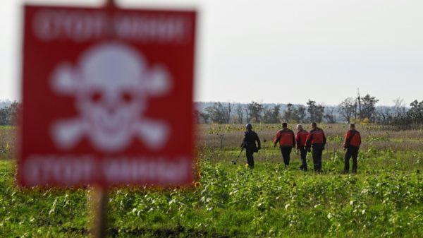 Ukraine demining teams race to clear danger before winter