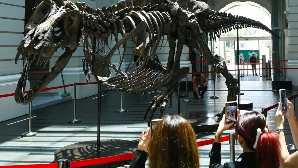 Christie's cancels controversial T-rex auction in Hong Kong - Asia Pacific News News - Report by AFR | Online Free Press release news distribution - Vimarsana News