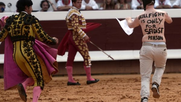 French lawmakers to vote on bullfighting ban