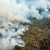 Rainforest giants Brazil Indonesia DR Congo sign deforestation pact