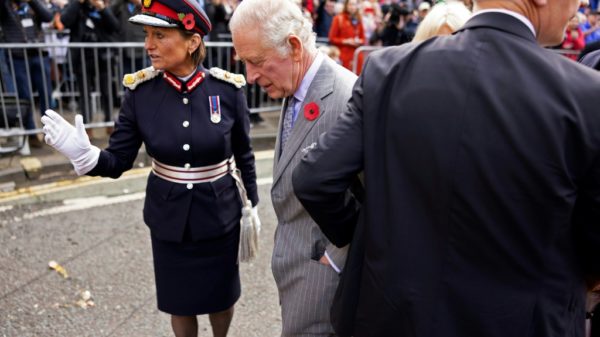 UK police bail student arrested for egging Charles III