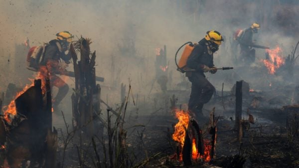 Brazil sees area burned by fire nearly double in November