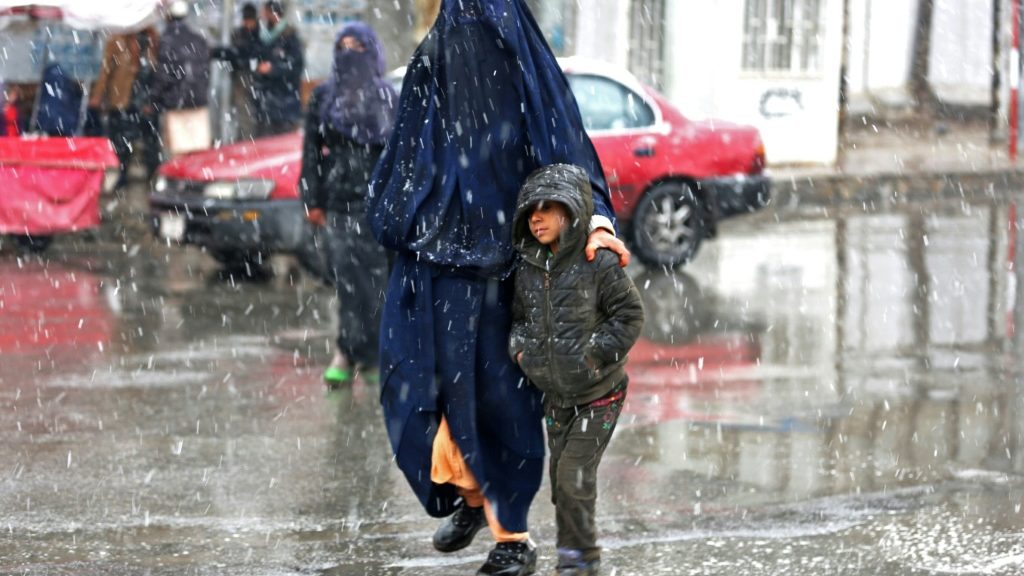 G7 tells Taliban to 'urgently reverse' ban on women aid workers - Top Stories News - Report by AFR | Online Free Press release news distribution - Vimarsana News